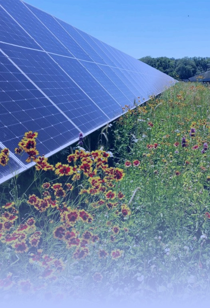 solar panel Gestion de la Végétation tunisie